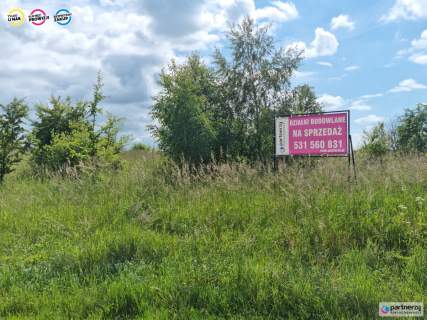 Działka budowlana w Salinku