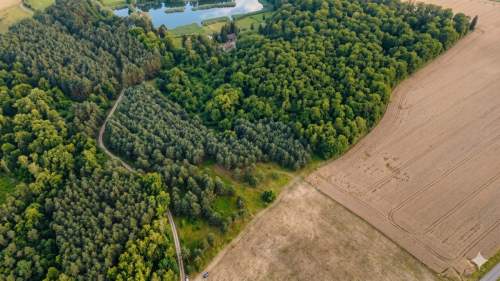 Na sprzedaż działki rekreacyjne w lesie, Wrocław