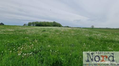 Działka 80 m od jeziora Dreństwo