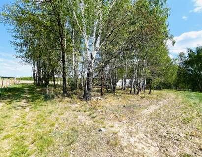 Lisów/ Działka-2300 m2/ Tylko cisza i natura