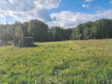 Sprzedaż nieruchomości Brzozówka 2,76 ha
