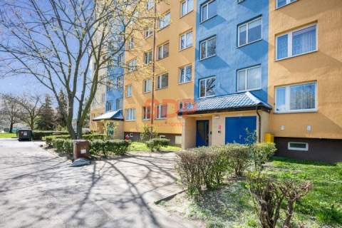 3-pokojowe mieszkanie z osobną kuchnią i loggią