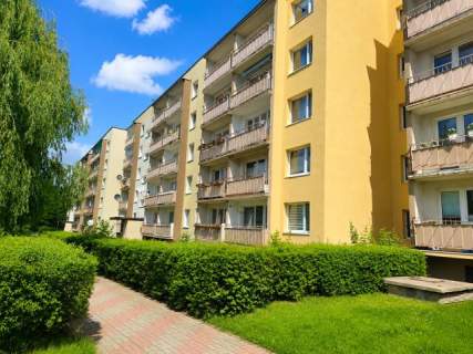 Północ pokój z wnęką duży balkon po generalnym remoncie