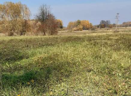 Działka siedliskowa na sprzedaż, 5842 m2, Topolany