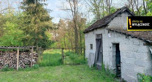 Dom z dużą działką, stodołą i wejściem do lasu