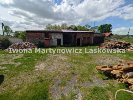 Dom wolnostojący z zabudowaniami - 18 ar - Wińsko