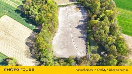 Niepowtarzalna okazja 2 stawy rybne i las 3,15ha