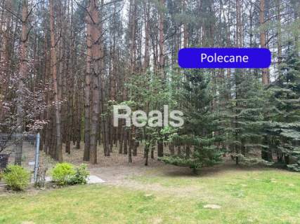 ATRAKCYJNA CENA DOM 1ha RADZIEJOWICE