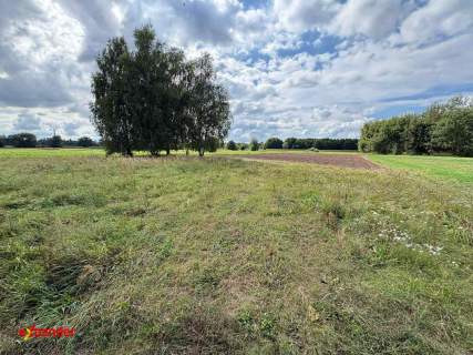 Działka rolna o pow. 4180 m2, Rajsków Kalisz
