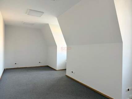 Lokal w samym sercu Wrocławia z Windą