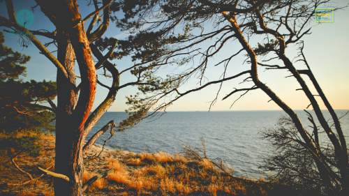 Nadmorski apartament 250 metrów od plaży