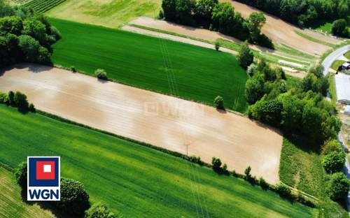 Działka na sprzedaż, 9950 m2, Celejów