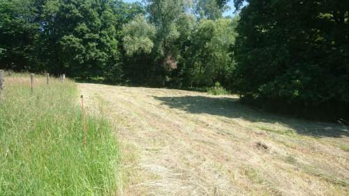 Cieszyn - Mnisztwo 4 działki budowlane
