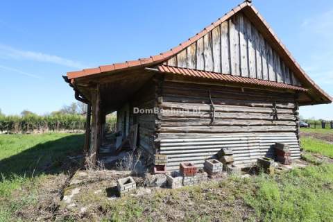 Dębina działka rolno budowlana 1.32ha stadnina