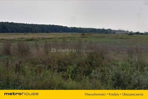 Działka na sprzedaż, 129000 m2, Miękowo