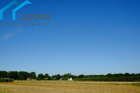 Działka w Zaborzu