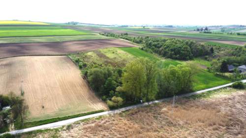 Działka rolna 1,357ha. Radziemice, niedaleko gminy