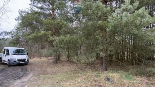 Michałów - urokliwa działka budowlana 5500 m2