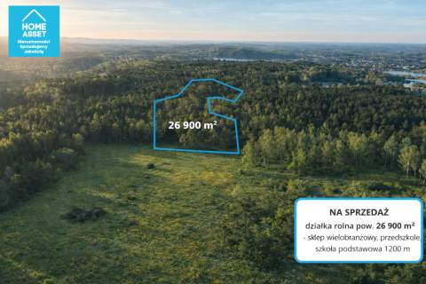 Działka rolna z lasem 2,69 ha Bieszkowice