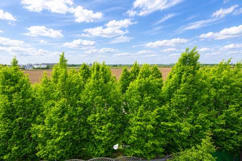 Piękne, zadbane z widokiem na zieleń i balkonem