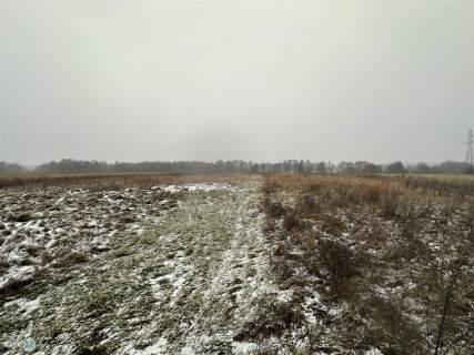 Działki rolne z lasem w Śladkowie Dużym