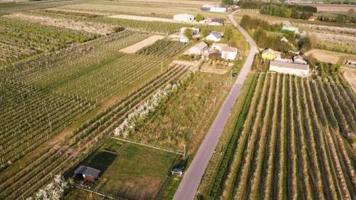 Cisza, natura, sady działka gm. Biała Rawska