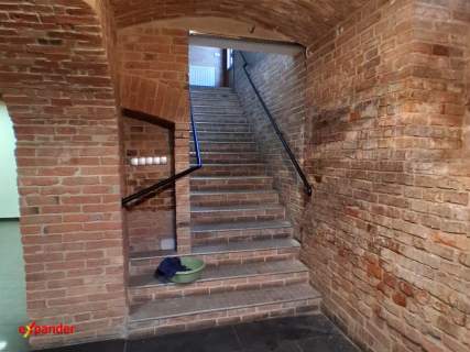 Lokal 65 m2 centrum Kolbuszowej