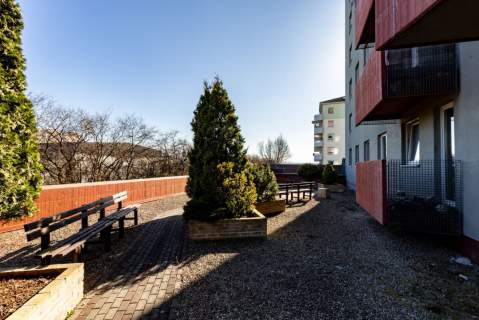 Piękny widok na zatokę i panoramę miasta