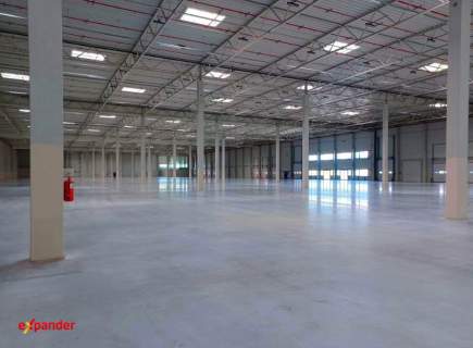 Magazyn 5000 m2 klasa A