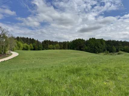 Działka 3500 m z WZ  Michalin, gm. Przywidz