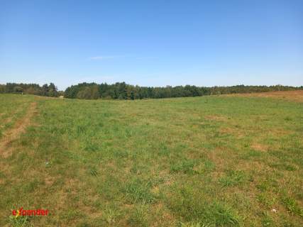 ROJEWO 3200 M2 POD ZABUDOWĘ PIĘKNY WIDOK 