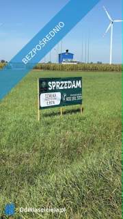 MIŁOSŁAW DK15 GOTOWY GRUNT POD INWESTYCJĘ