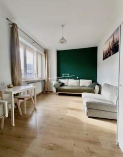 Studio Przyjazne Dla Zwierząt w CENTRUM