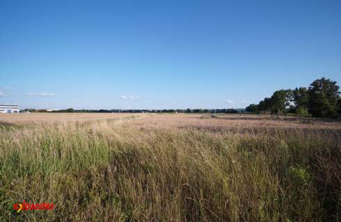 Działka inwestycjna, Łąka, 5,2h strefa przemysłowa
