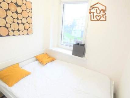 2 pokoje, pet-friendly - Żeromskiego 26