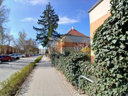 Mieszkanie w zadbanym budynku wielorodzinnym 