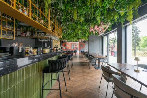 Lokal gastronomiczny w centrum Wrocławia Plac Jana Pawała II...