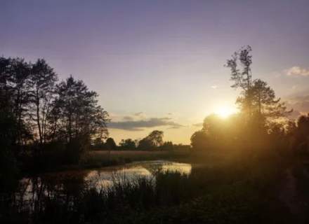 Wilanów Latoszki - działka pod osiedle