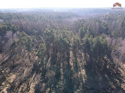 Działka leśna na sprzedaż, 15599 m2, Ruda Kozielska