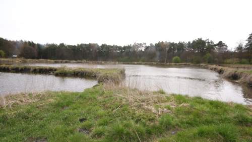 5,42 ha, Stawy rybne, las, Zemborzyce, Lublin