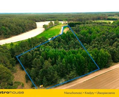 Działka siedliskowa z linią brzegową, przy lesie