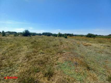 BLINNO DZIAŁKA ROLNA 2,03 HA