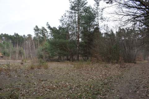 Działki pod budownictwo 13,87a - Wysoka Głogowska