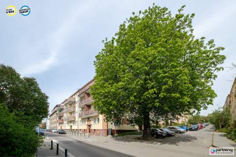 4 pokoje z balkonem i piwnicą blisko centrum 