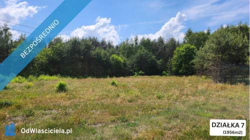 ZBOISKA K.RADZIEJOWIC - DZIAŁKI BUDOWLANE PRZY LESIE, ŚWIETNY...
