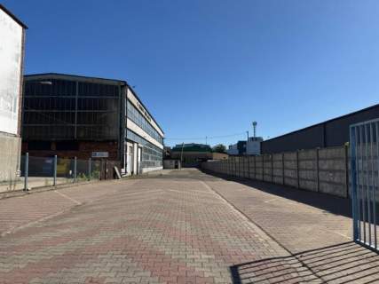 Lokal użytkowy do wynajęcia, 100 m2, Sosnowiec