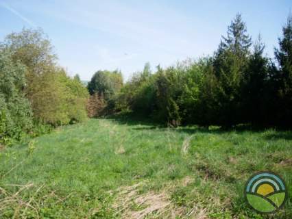 Nielepice gm. Zabierzów - działka budowlana 1300 m2 k/lasu