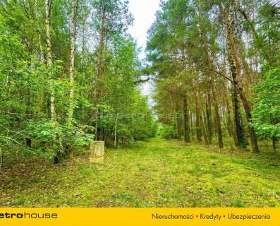 Stary Adamów, działki budowlane w otoczeniu lasu