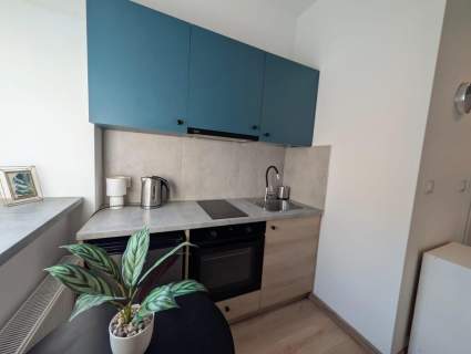 Wróblewskiego 54 - studio, pet friendly