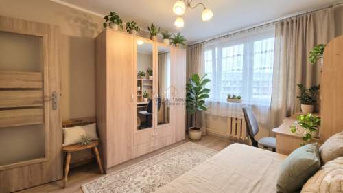 Rozkład Balkon Klima Osobna kuchnia Odra